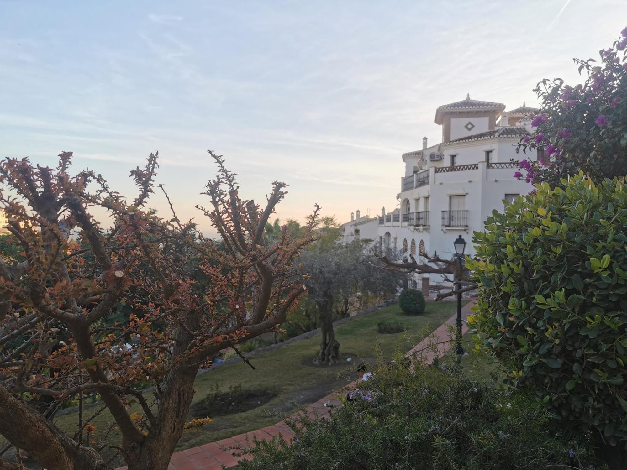 Apartamento Maria Platero Centrico Y Con Las Mejores Vistas Del Casco Antiguo La Montana Y El Mar Mediterraneo Frigiliana Exteriér fotografie